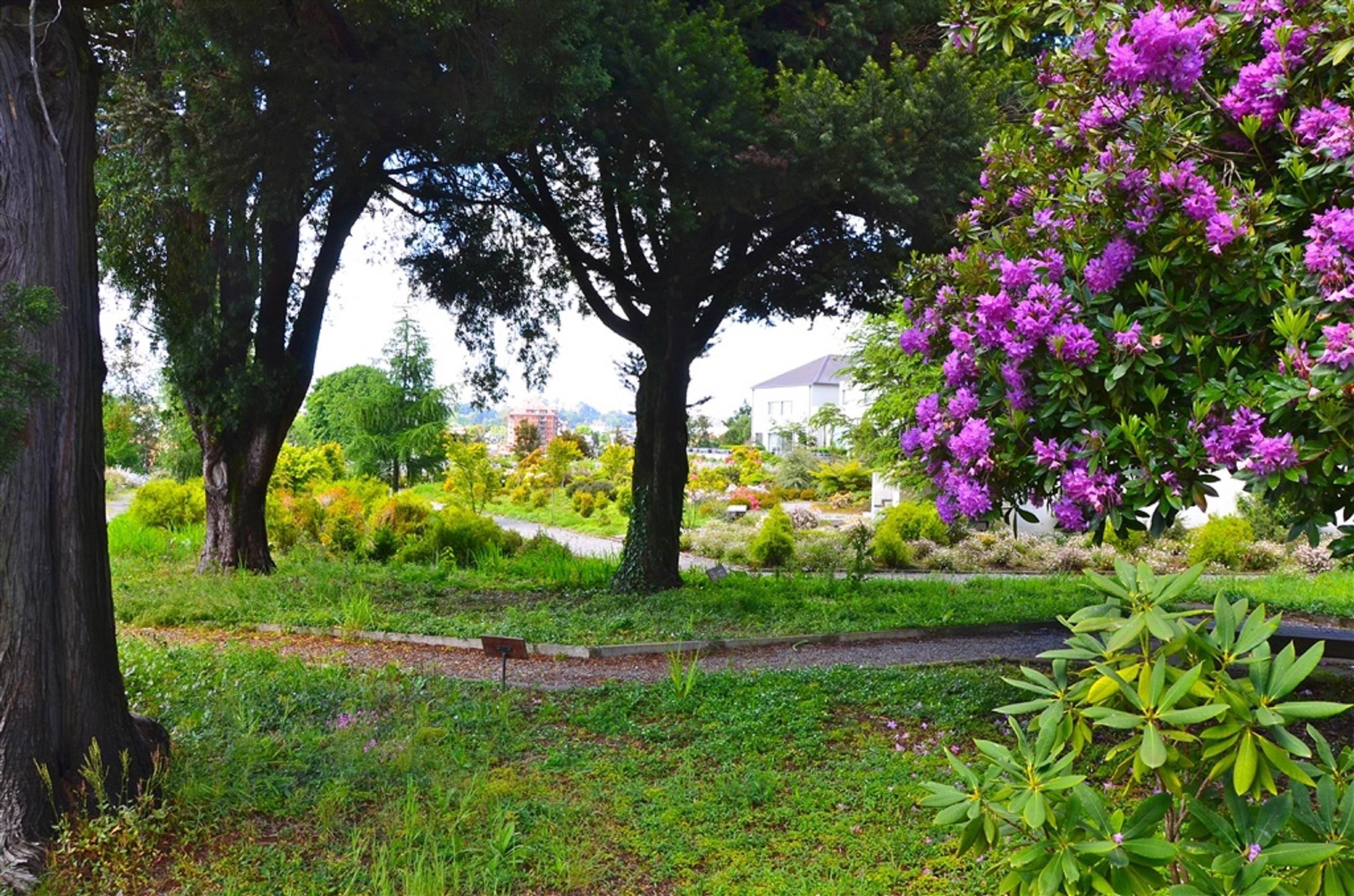 Enjoy Puerto Varas Exterior photo